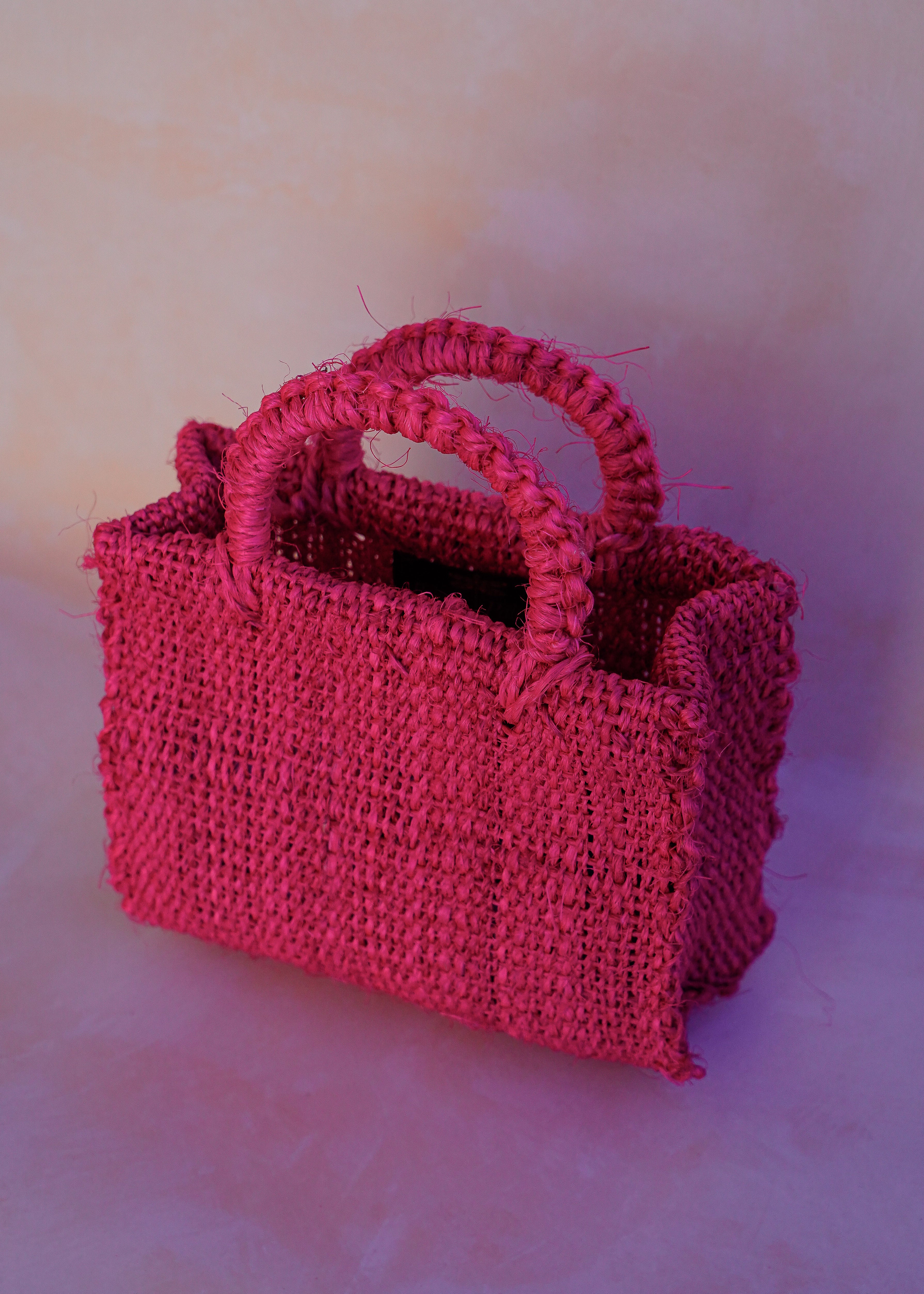 Maguey Mini Rosa
