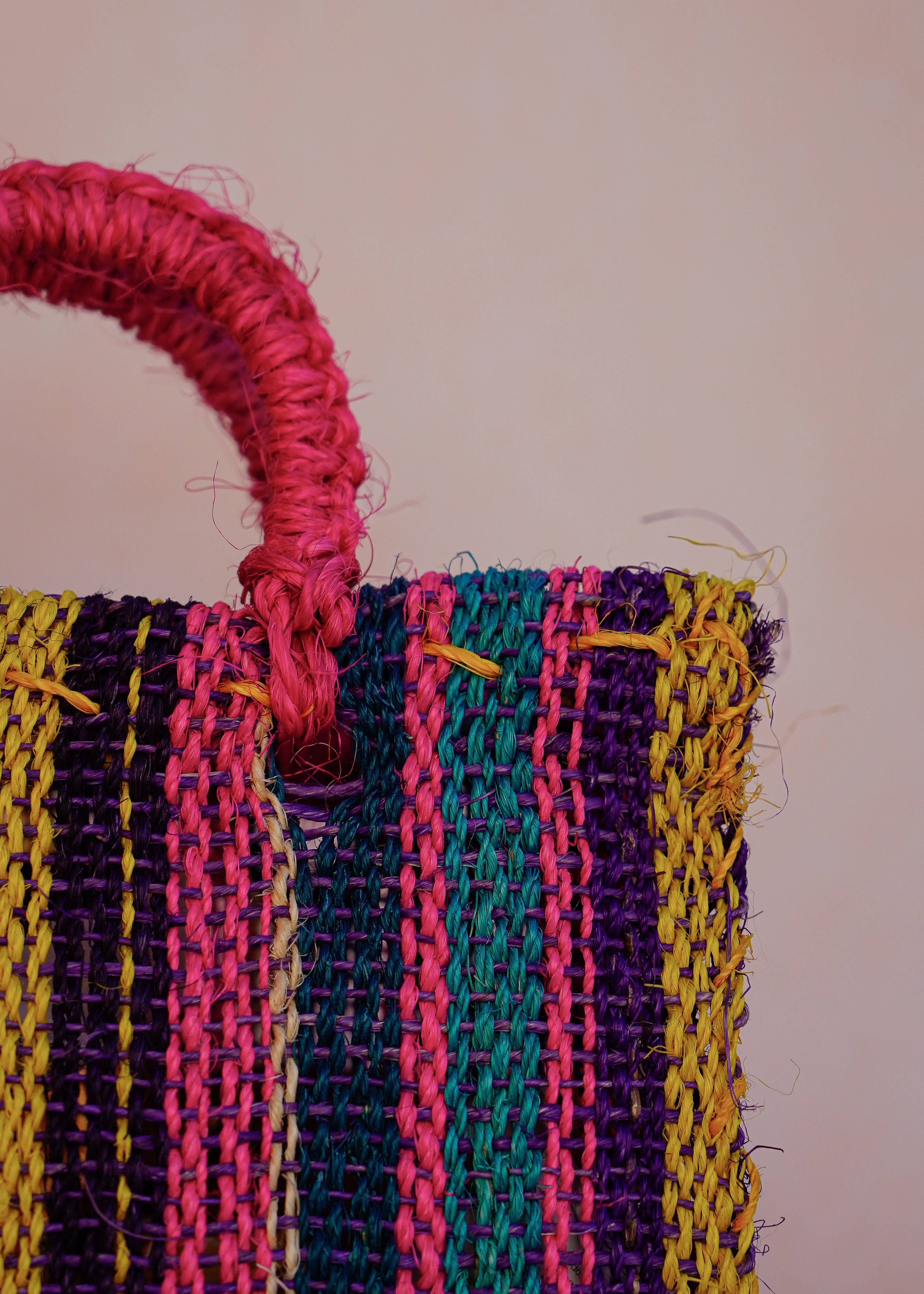 Maguey Mini Rosa Multi
