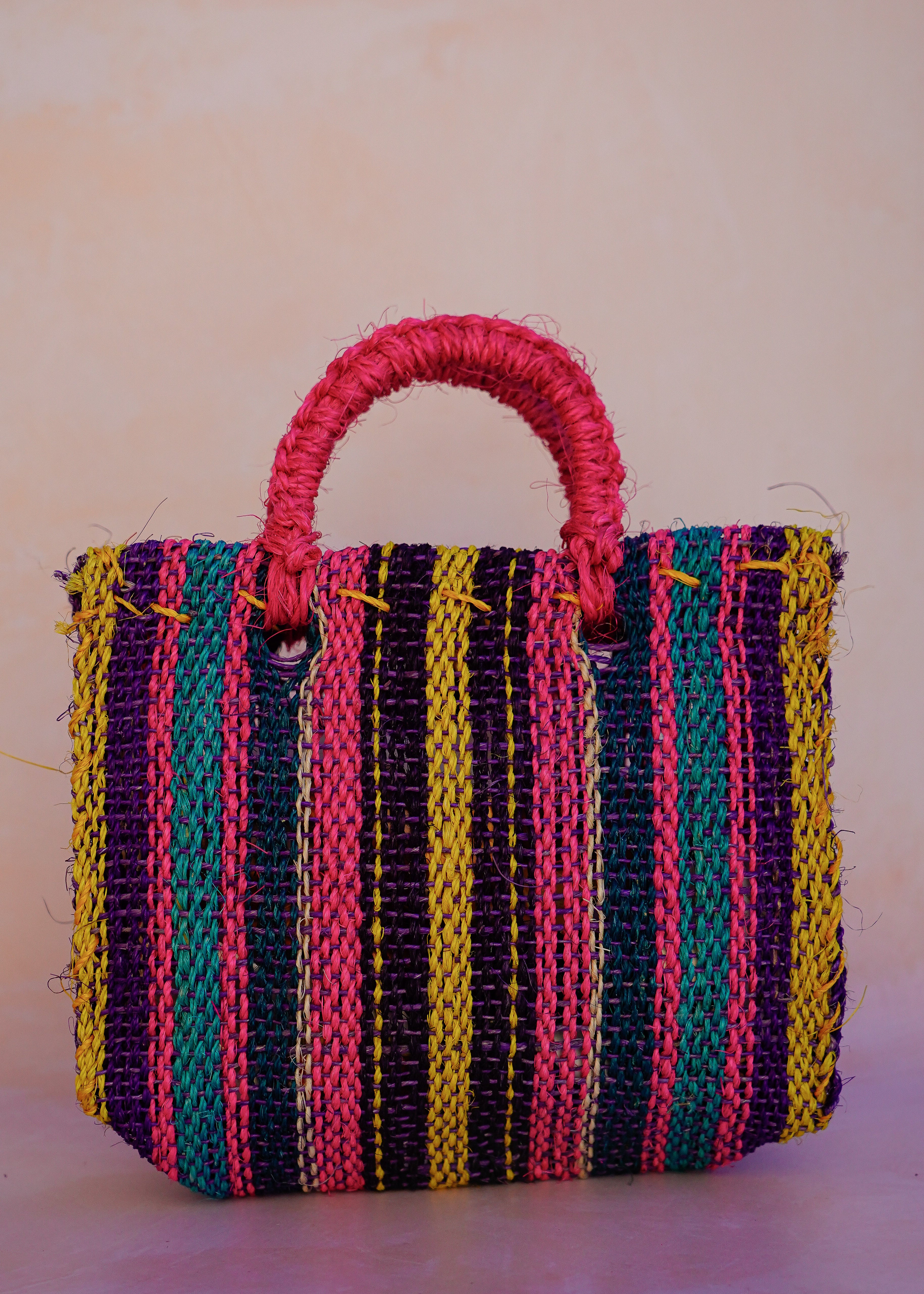Maguey Mini Rosa Multi